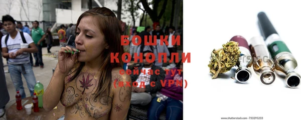 ГАЛЛЮЦИНОГЕННЫЕ ГРИБЫ Липки