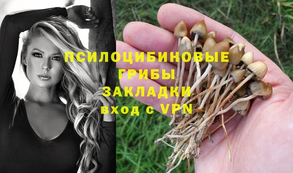 дживик Майский