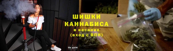 МДПВ Лиски