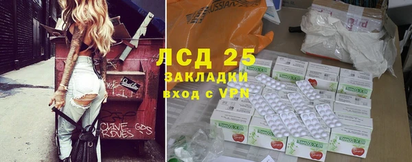 ГАЛЛЮЦИНОГЕННЫЕ ГРИБЫ Липки