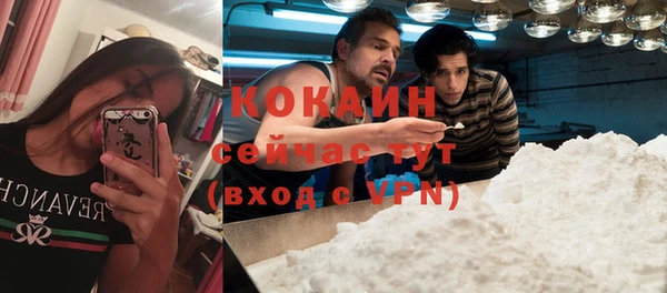 дживик Майский
